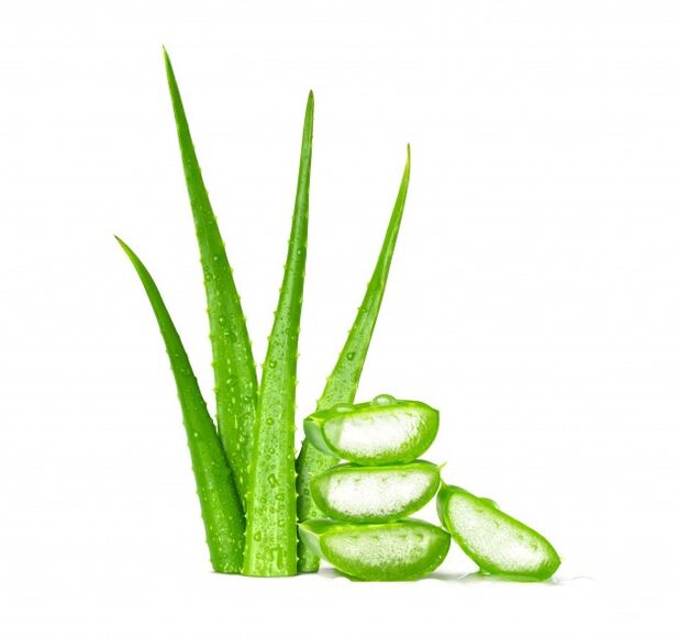 Aloe vera dans Men's Defence